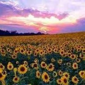 Meet your Posher, Kelley